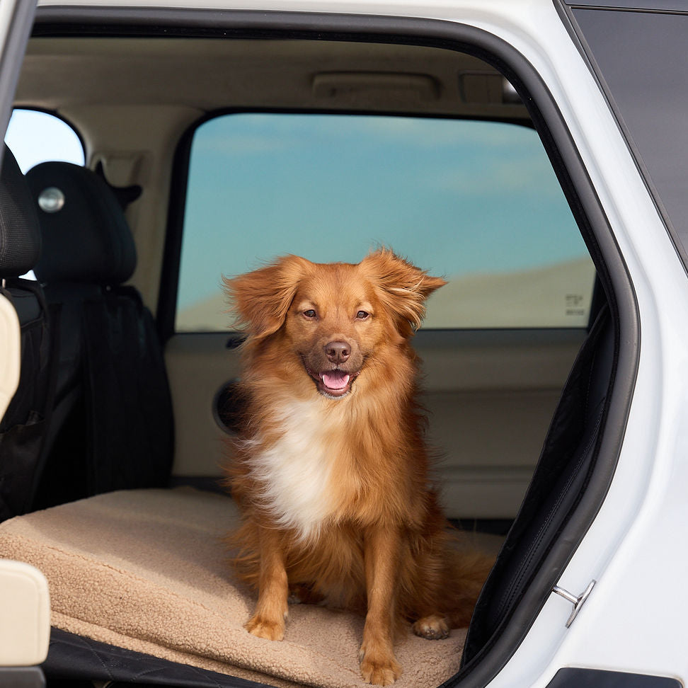 Teddy Fleece Cover - DOG GO