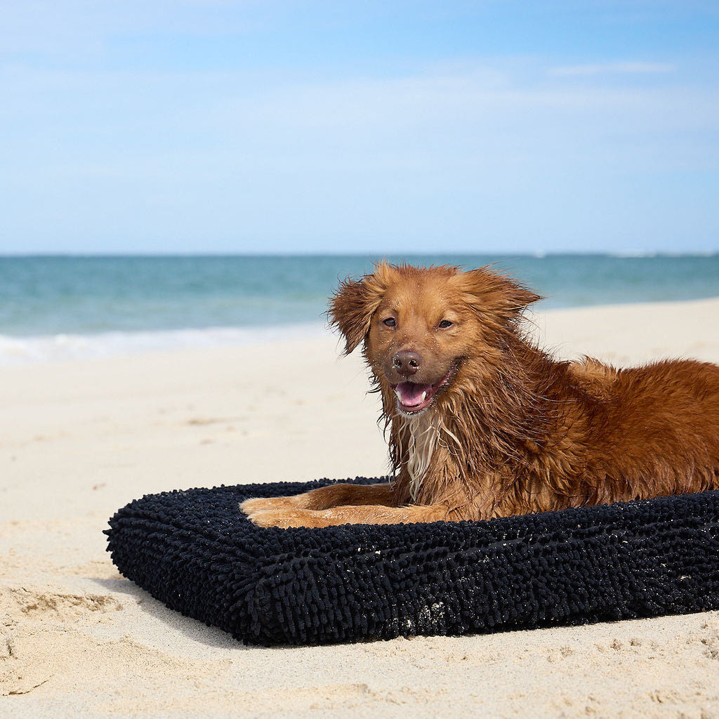 Towel Cover (Black) - DOG GO