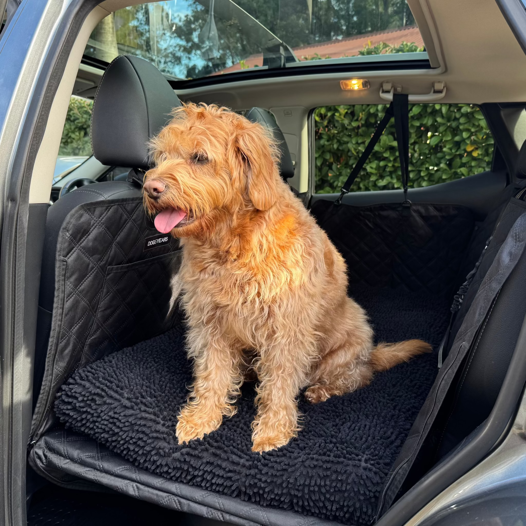 Towel Cover (Black) - DOG GO