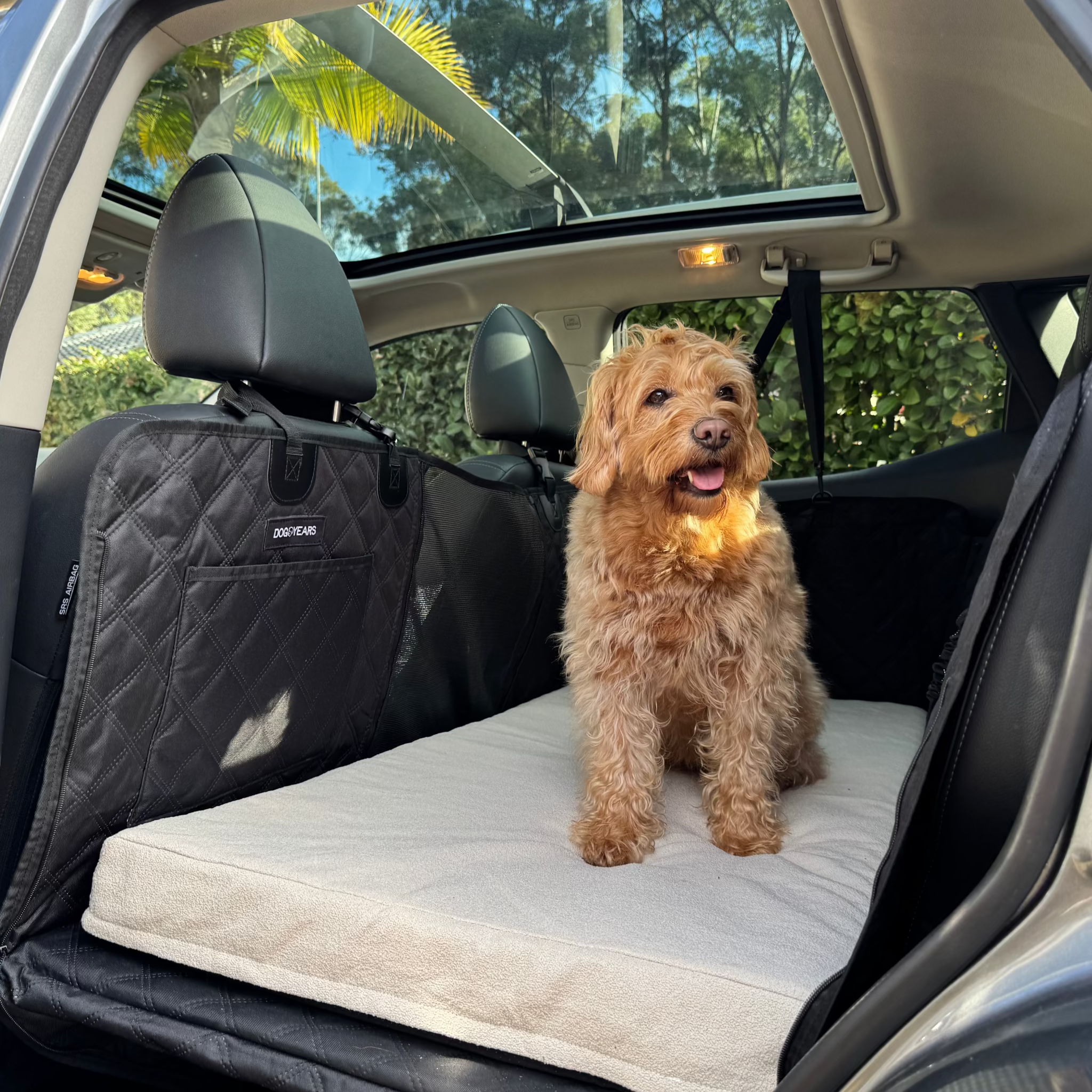 Happy Dog on Orthopedic Dog Car Bed with Memory Foam and Waterproof Liner