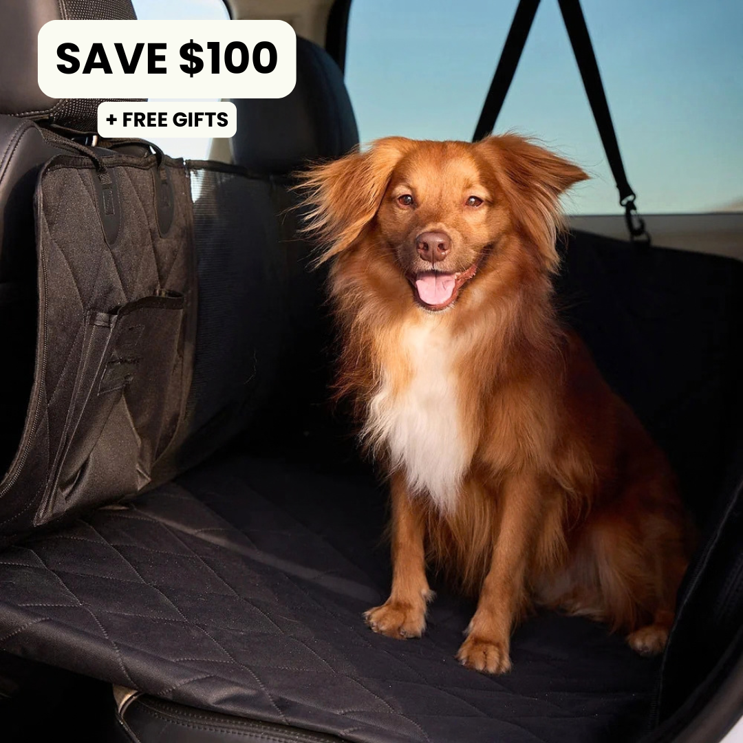 Car Seat Cover & Backseat Extender (Full Cover | Hammock Style)