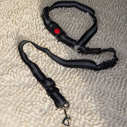 Car Seatbelt 2-in-1 - DOG GO