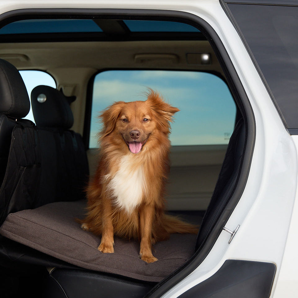 Orthopedic Dog Car Bed (Dark) - DOG GO
