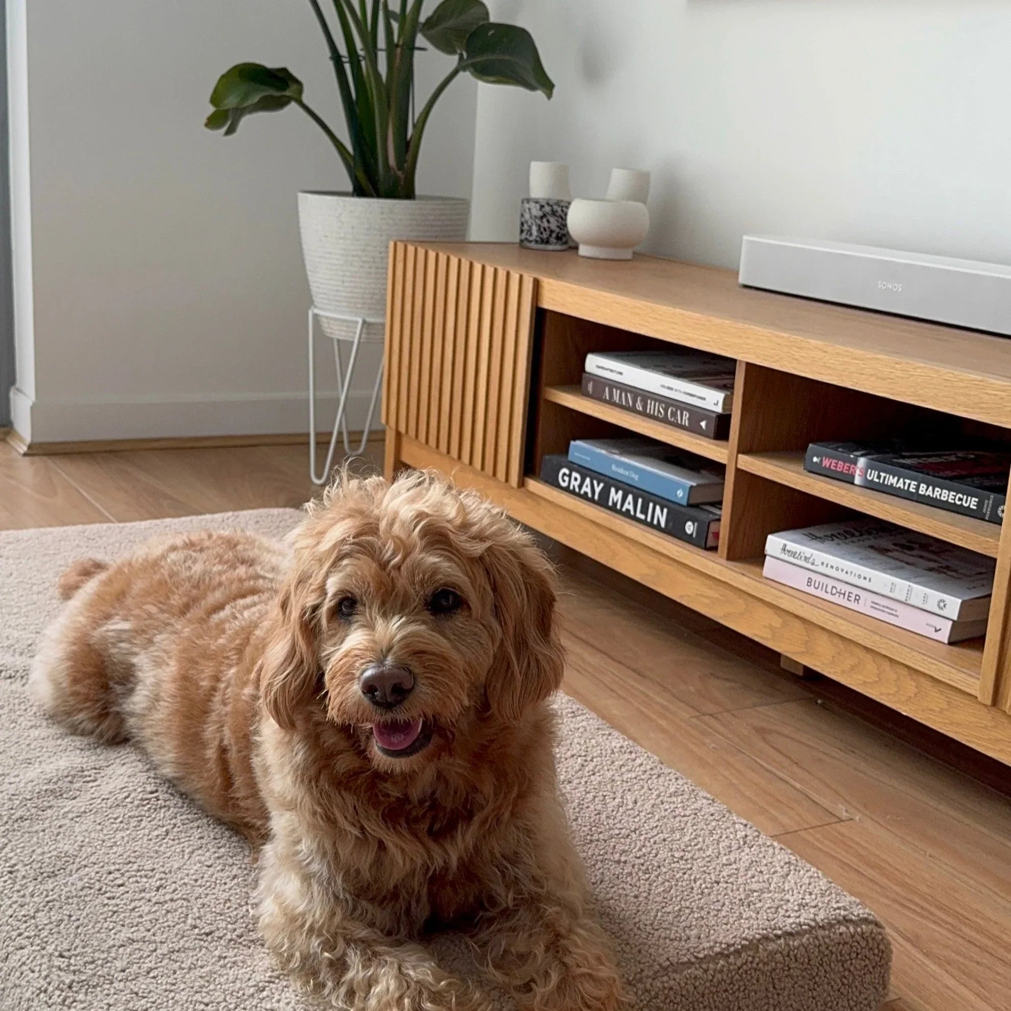 Teddy Fleece Cover - DOG GO